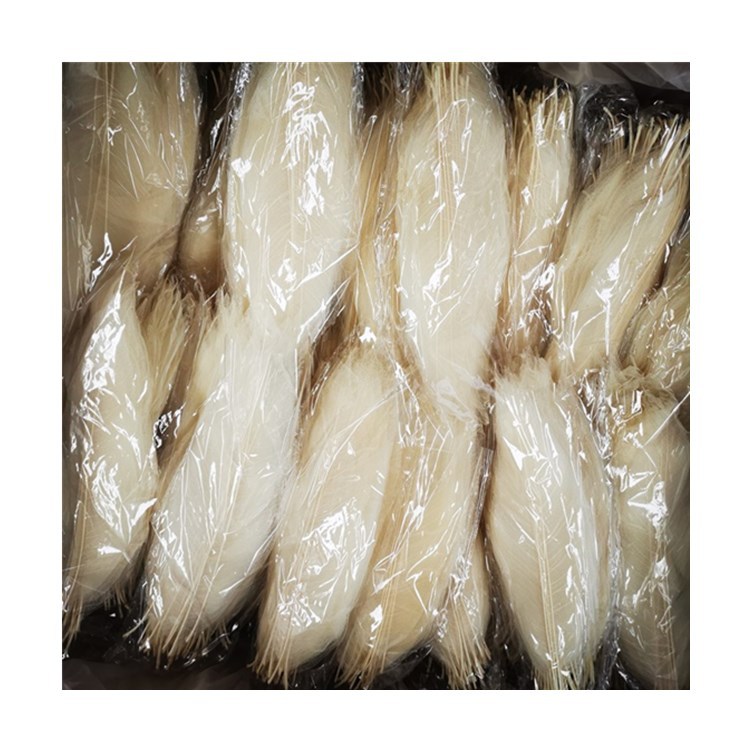 Leaf Vein Magnolia Leaf Vein Boutique Leaf Bookmark Diamond Leaf Photo Frame Wall Decoration Embossing Factory Direct Sale