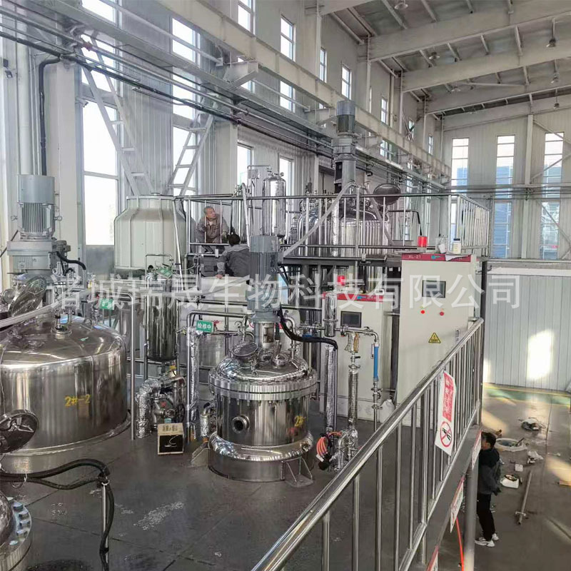 Fully Automatic Biological Fermentation System Stainless Steel Fermentation Tank Equipment Ruisheng Machinery Bacillus Licheniformis Fermentation