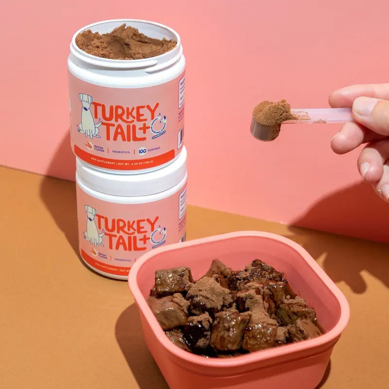 Cross-Border Tk Hot-Selling Product Turkey Tail + Dog Intestinal Turkey Tail + Probiotic Bacon Flavor Mushroom Powder