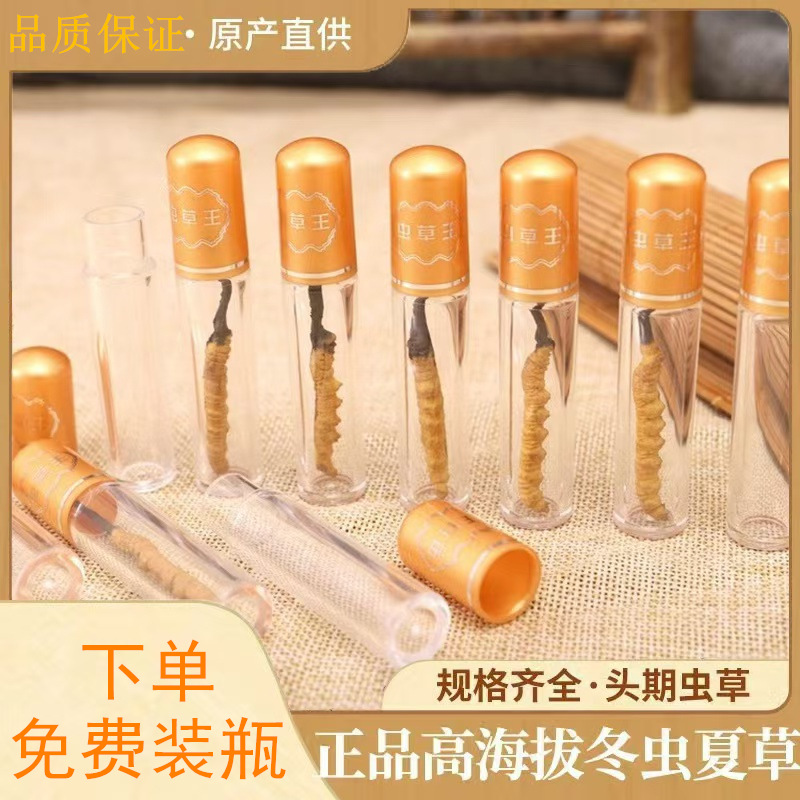 2025 кордицепс синенсис, дикий кордицепс, сухой, Тибет, Нацю, подарочная коробка, бутылка для волос