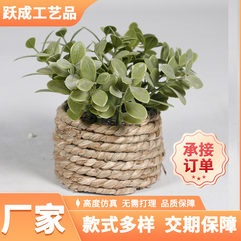 Small potted plant Amazon explosion simulation eucalyptus green plant decoration home plant simulation green plant eucalyptus potted plant