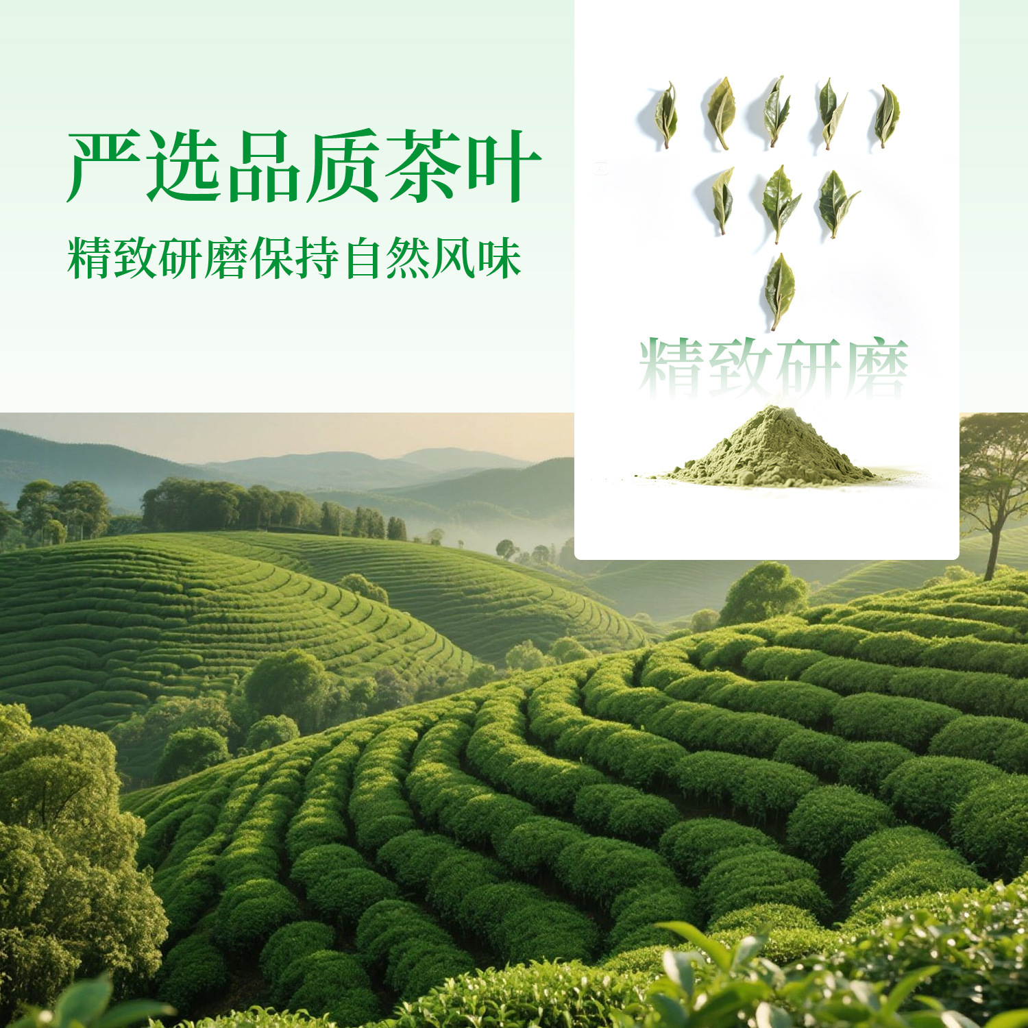 Danyun Black Tea, Oolong Tea, Spring Green Tea, Oolong Tea, Jasmine Tea, Green Jasmine Tea Powder, Solid Beverage Douyin