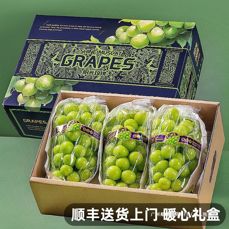 Sunshine Rose Grape Fresh Fruit 2.5kg Gift Box Qingwang Fragrant Green Raisins Seasonal Whole Box Wholesale Sf Free Shipping