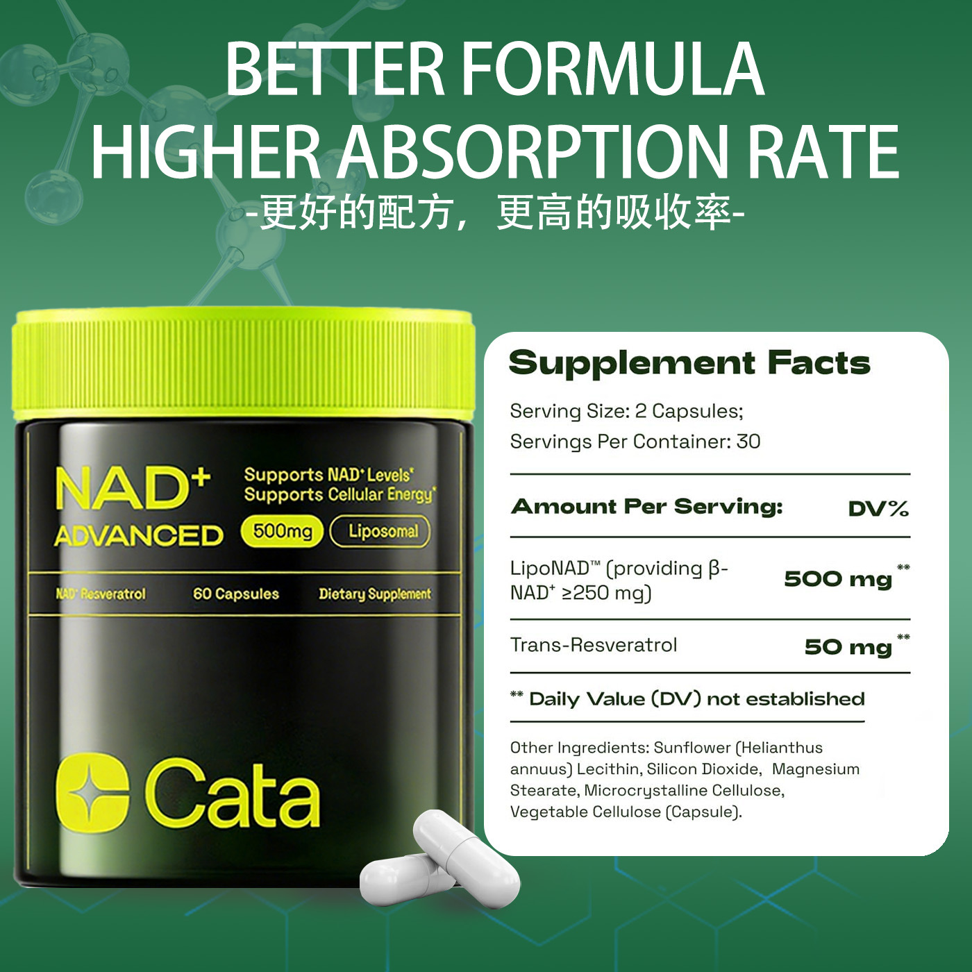 Kindergarten Cross-Border Amazon Hot-Selling Product 60 Capsules Nad+ Core Nicotinamide Vitamin B3 Capsules Source Factory Wholesale in Stock