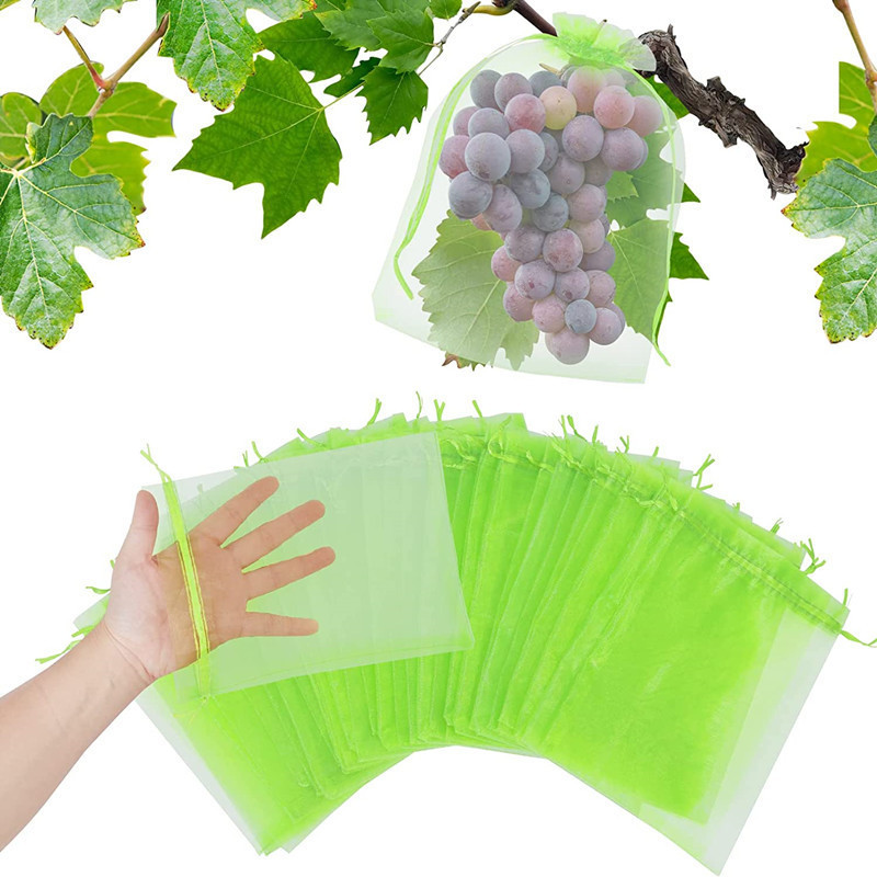 Cross-Border Mesh Bag Fruit Insect-Proof Bag Anti-Bird Bag Gauze Mesh Bag Reusable Tomato Eggplant Grape Apple