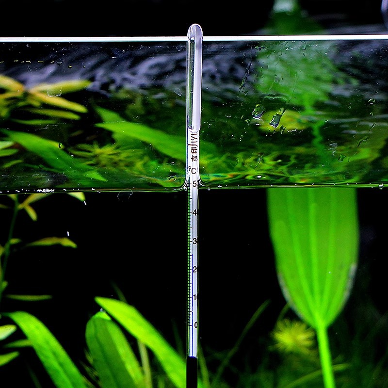 Fish tank thermometer patch diving high precision probe tank water temperature digital display aquarium special electronic water temperature meter