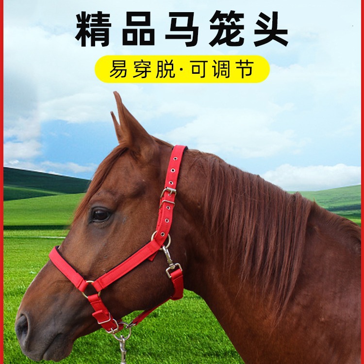 Удилище для лошади, конный инвентарь, комплект уздечки для карликовых лошадей, аксессуары для головы, полный комплект пластин