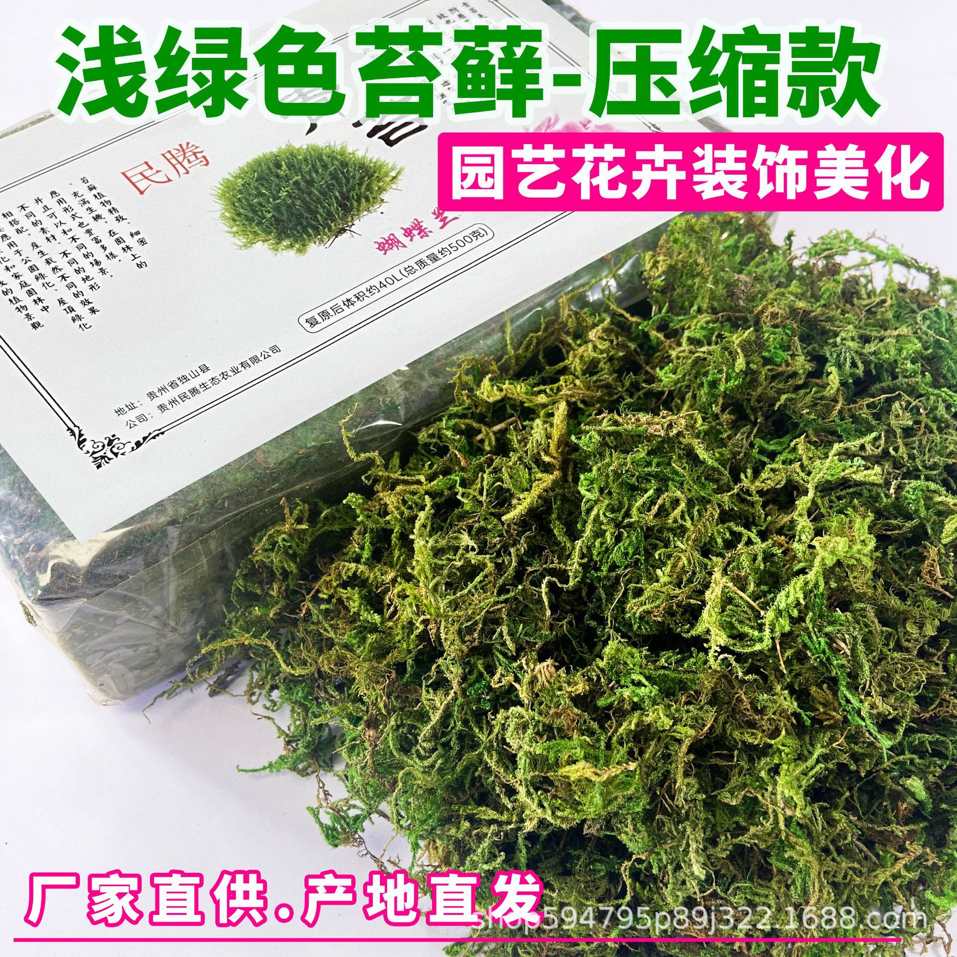 Окрашенный зеленый мох для бонсай, садоводства, украшения цветов, декоративные сухие зеленые растения, микроландшафтные растения
