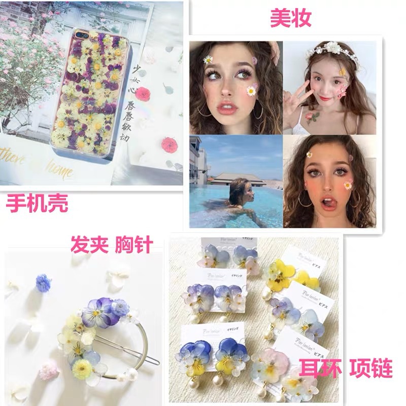 Pansy/Corydalis Dried Flower Baffle/Embossed Material Bag Wholesale Dropping Glue Jewelry Nail Art Face Makeup Phone Shell Decoration