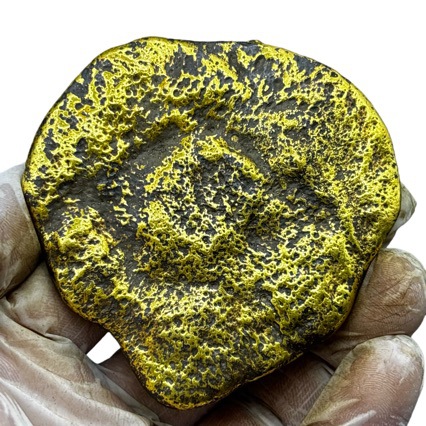 Изделия и антиквариат, оптовая продажа позолоченных монет в форме собачьей головы, коллекция украшений