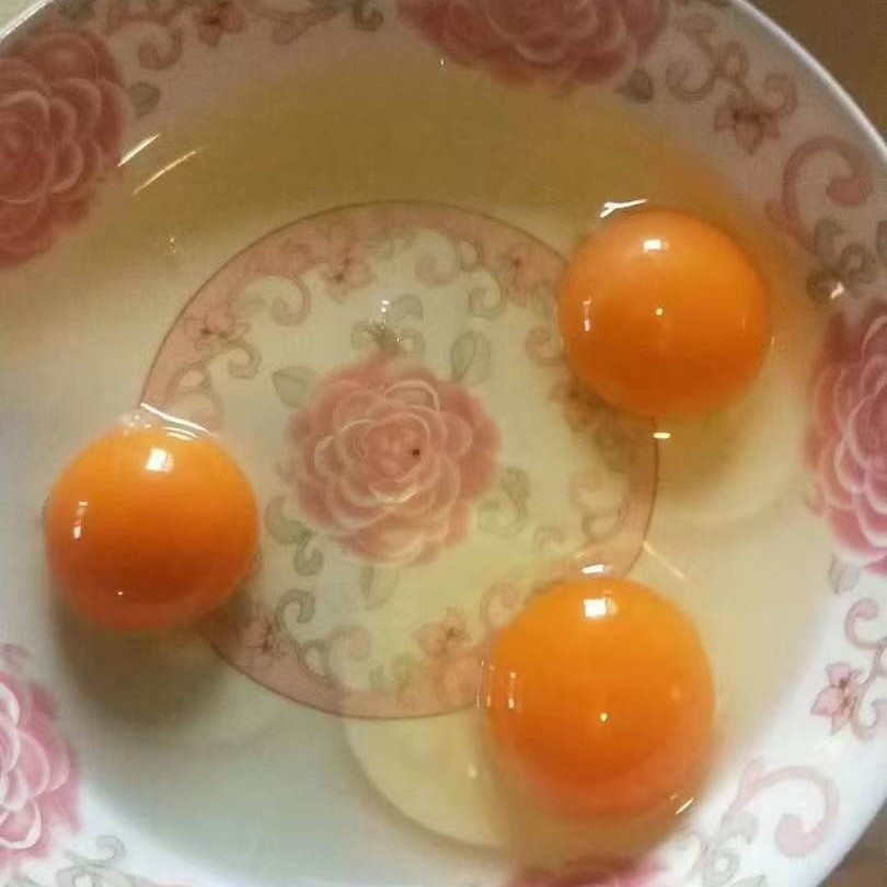 Fresh Free-Range Eggs, Cordyceps Eggs, Freshly Picked and Shipped, Authentic Free-Range Eggs from Farms, Wholesale and Delivery Available