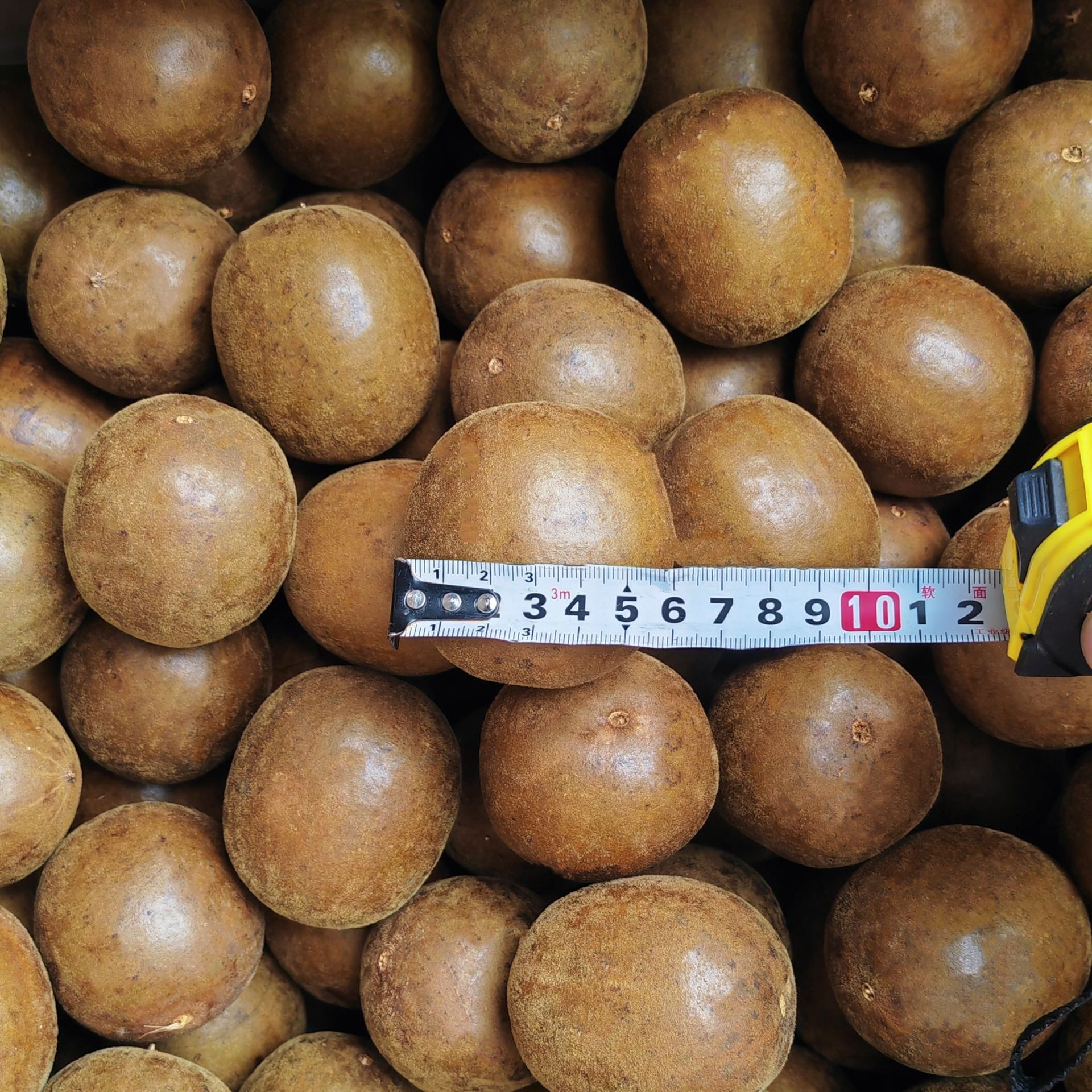 Guangxi Specialty Luo Han Guo Chinese Medicinal Materials Genuine Wholesale Whole Box Flower and Fruit Tea