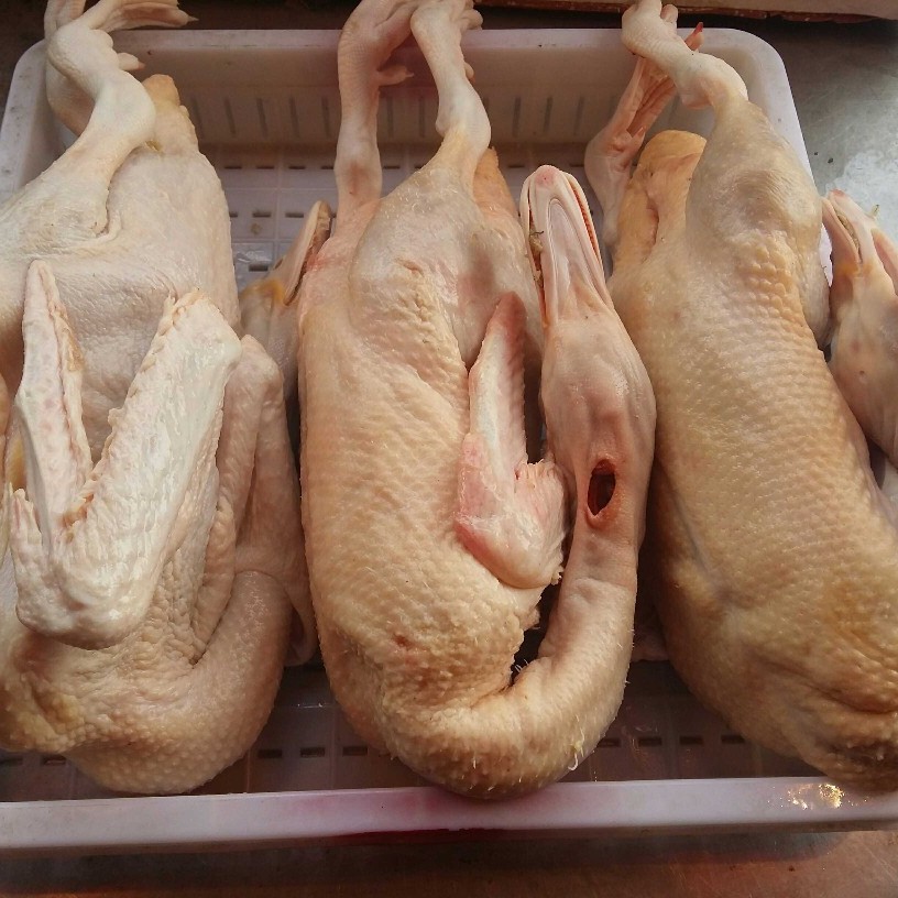 Factory Direct Sales Haoya Raw Haoya Whole Wholesale 20kg 50kg 50kg Baiyangyu