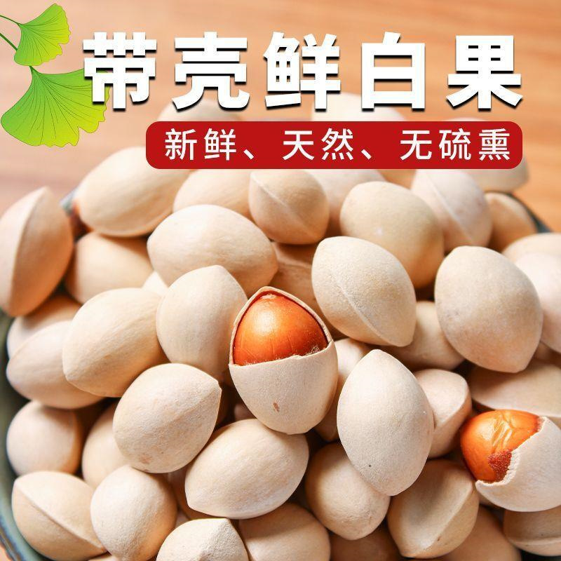 2024 Fresh White Ginkgo Nuts Raw Unbleached Shelled White Ginkgo Nuts Xuzhou Pizhou Specialty