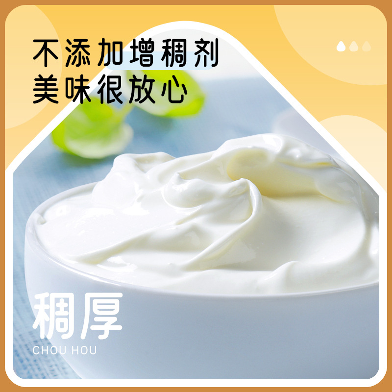 Chuanxiu cheese yogurt fermentation bacteria homemade wire drawing mushroom powder for yogurt special fermentation agent