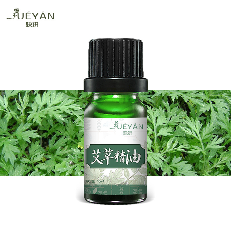 10 мл эфирное масло артемизии для массажа тела, роза, имбирь, оптовая продажа