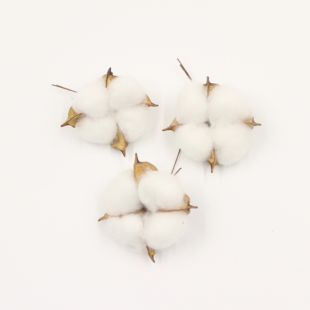 Cotton Dried Flowers, Simulated Cotton, Natural Kapok, Christmas Wreath Decoration Supplies, White-Headed Immortal Flowers