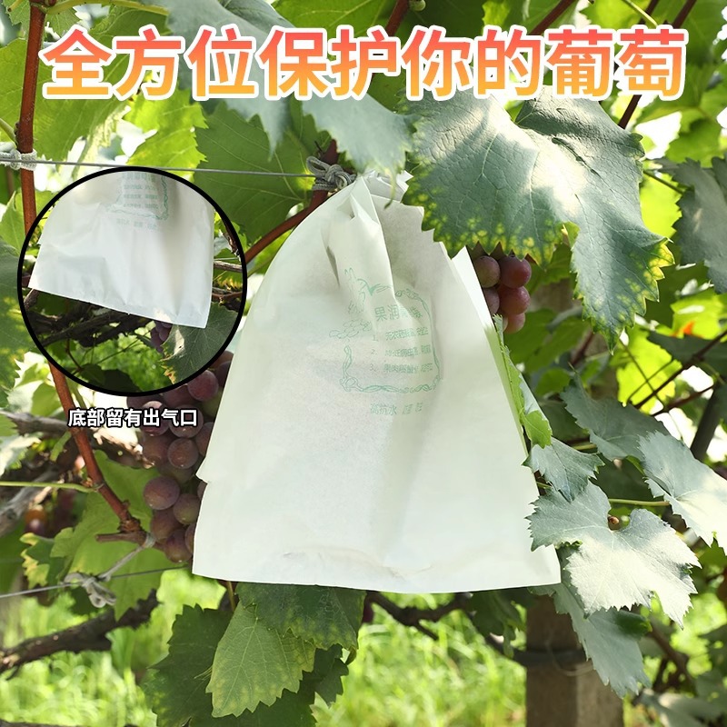 Special Bag for Bagging Grapes, Insect-Proof and Bird-Proof Fruit Waterproof Rain Cover, Bag for Grapes, Lotus Mist Protective Paper Bag