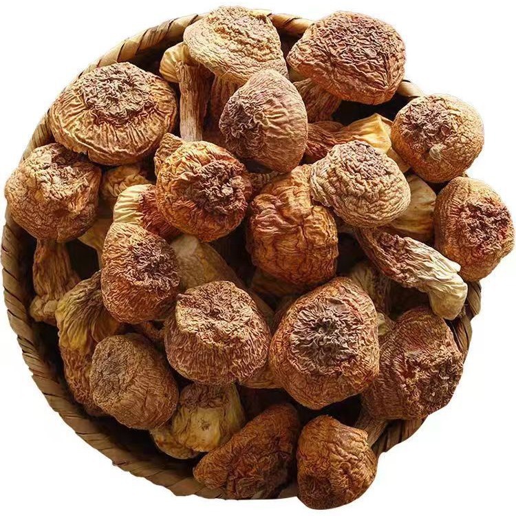 Agaricus Blazei Mushroom Yunnan Specialty Dry Goods Edible Brazilian Mushrooms in Bulk One Piece Wholesale First-Hand Supply Mushrooms