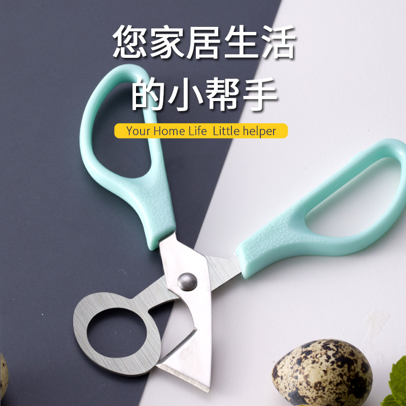 Quail egg scissors stainless steel bird egg shears quail egg cutter kitchen scissors in stock wholesale