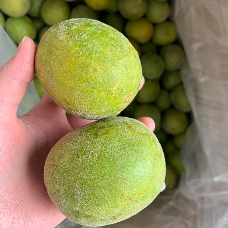 Лиофилизированный ло хань гуа, оптовая продажа, чай из ло хань гуа, лиофилизация