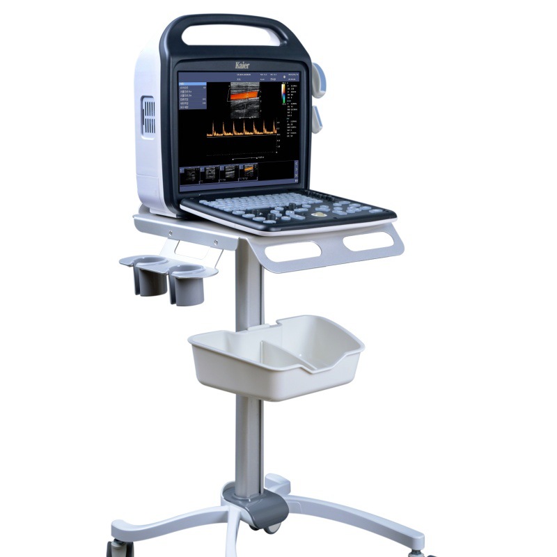 Ultrasonic B-Ultrasound Machine Medical Obstetrics and Gynecology B-Ultrasound Medical Equipment Color Ultrasound B-Ultrasound Machine Price @Feiyu-Service Fee
