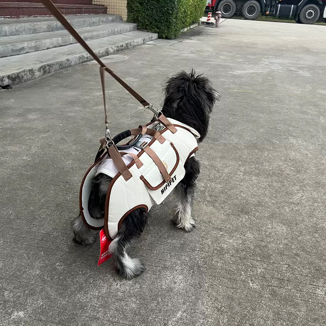 Cross-Border Dog Outing Backpack, Shoulder Portable Pet Traction Backpack, Portable, Breathable, Cross-Body Strap Pet Supplies