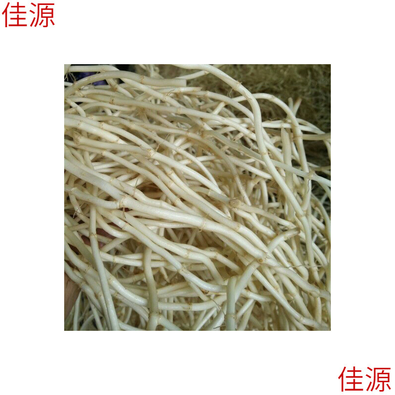 Houttuynia Cordata Freshly Dug Vegetables, Pleurotus Eryngii, Cold Stir-Fried Pleurotus Eryngii, Houttuynia Cordata Roots, Free Shipping