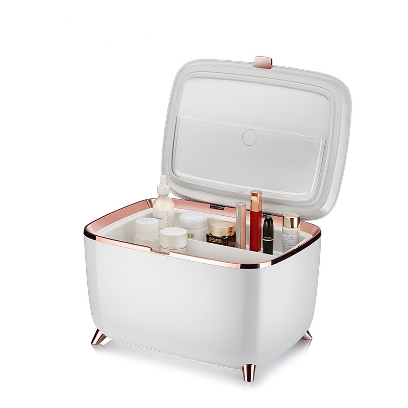 Manufacturer Wholesale 9L Household Beauty Refrigerator Convenient Silent Mask Cosmetics Small Refrigerator Bluetooth Mini Refrigerator