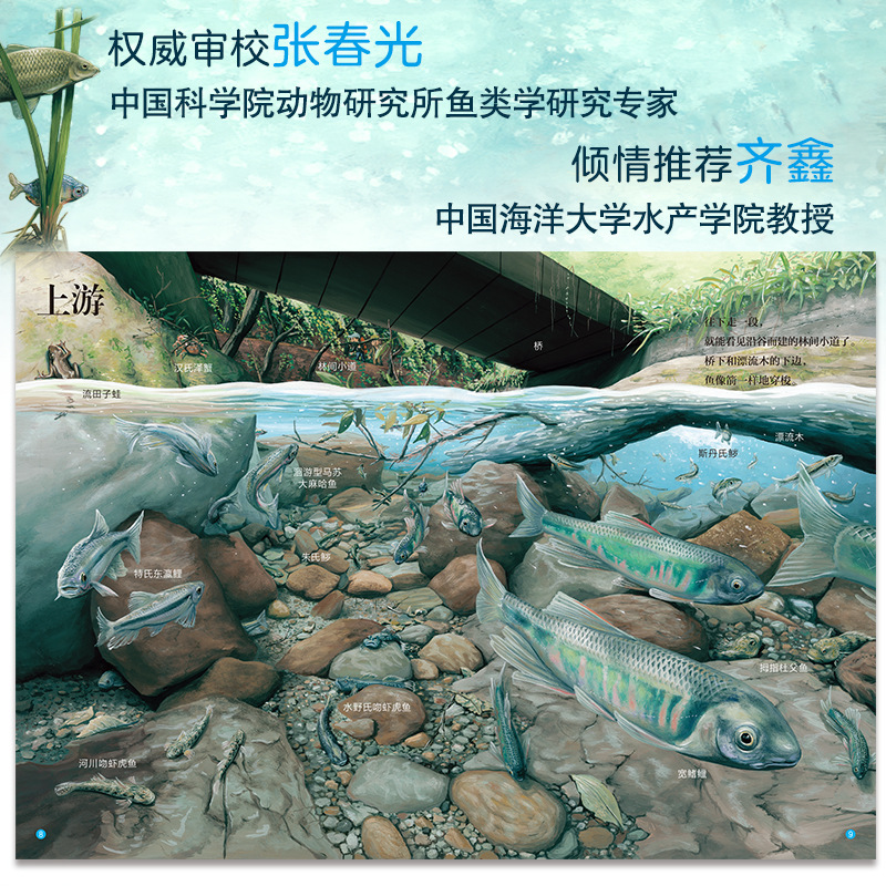 River Suzuki Shintaro's Beautiful Natural Science Picture Book "High-Quality Natural Science Documentary"