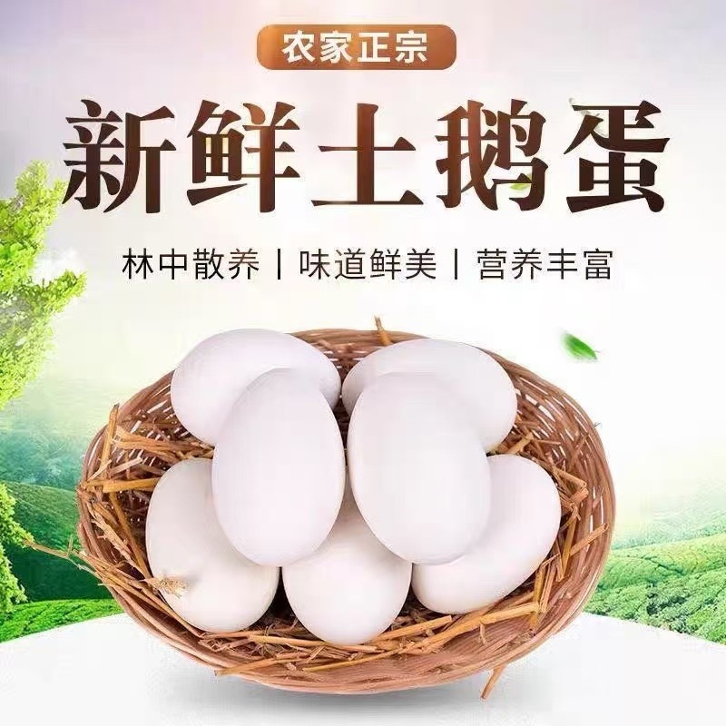 Гусиные яйца 24 часа свежие, свежие свободного выгула, 12 гусиных яиц, фермерские, питательные и здоровые, бесплатная доставка, оптовая продажа