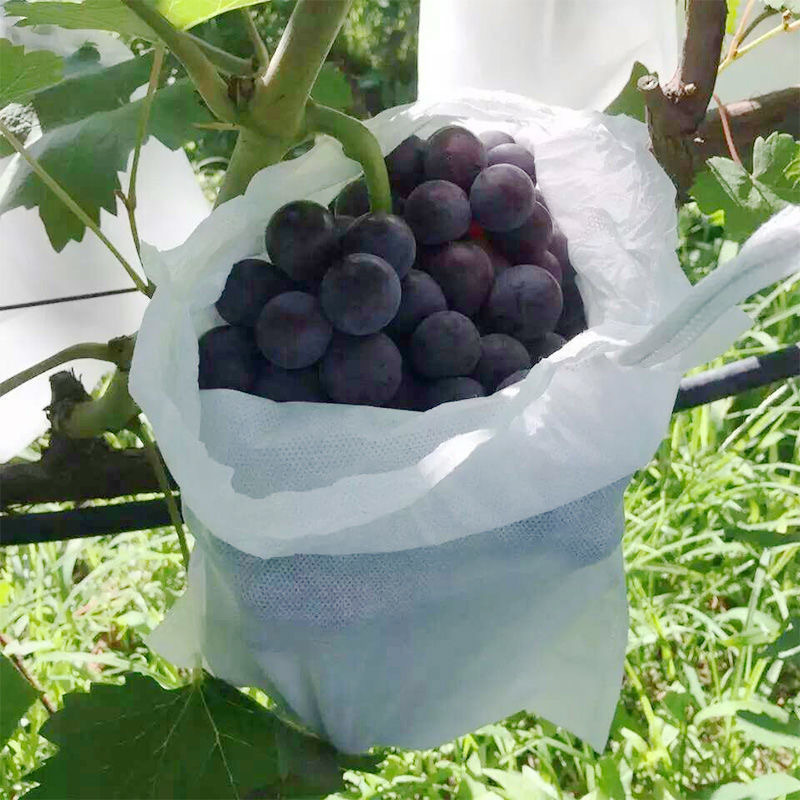Non-Woven Fruit Bagging, Silk Grape Bag, Anti-Bird and Insect-Proof Water Special Fruit Bag, Seedling Bagging, Spot Wholesale