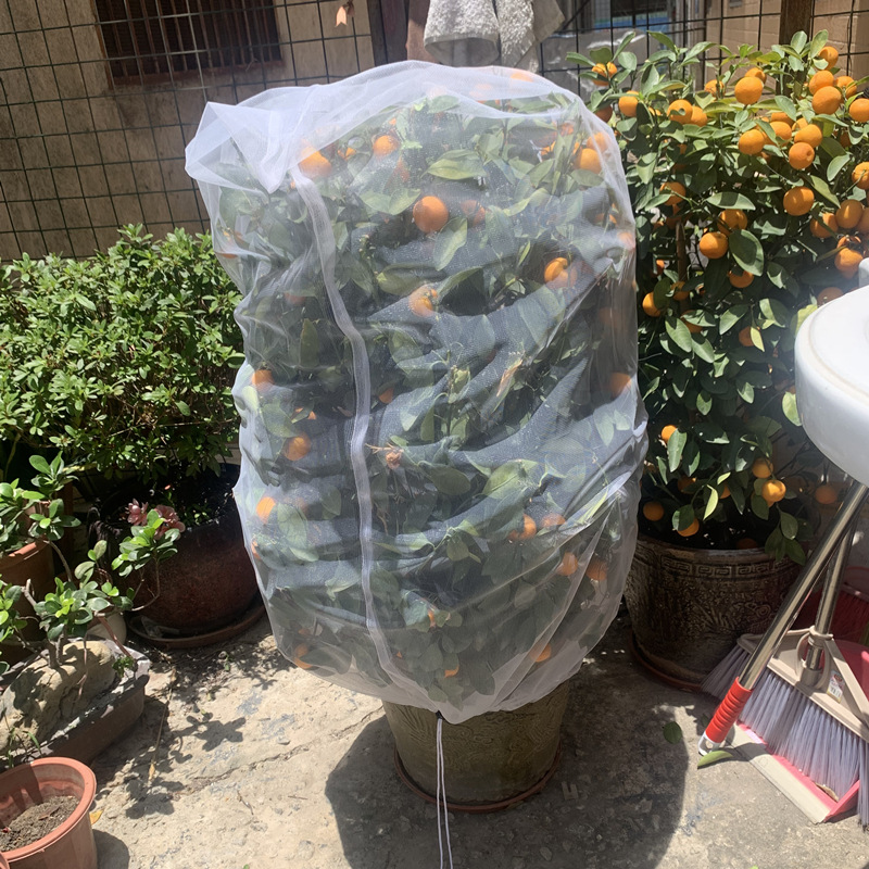 Landscape Tree Insect-Proof Net Flower and Tree Insect-Proof Net Bag Drawstring Drawstring Insect-Proof Bag Flower and Fruit Insect-Proof Net Bird-Proof Net Cover