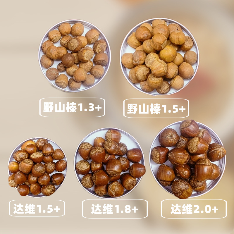Canned Hazelnut New Goods Tieling Kaiyuan Wild Mountain Hazelnut Northeast Specialty Canned Hazelnut Snacks Nuts Fried Goods