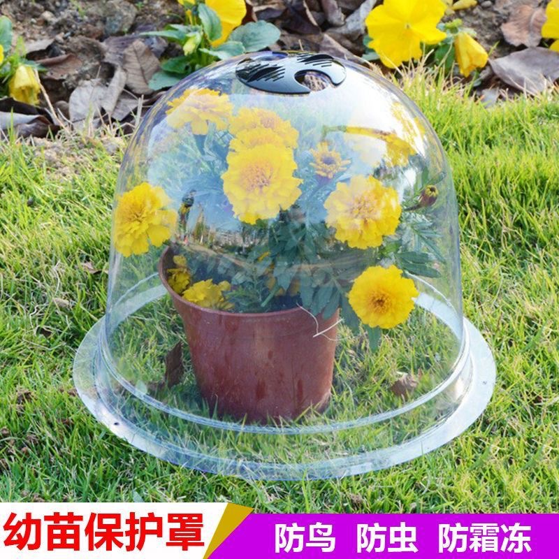In-Stock Insulation and Moisture-Retaining Planting Protection Cover for Greenhouse Gardening, Blister Bubble Cover for Seedling Nursery Flower Pots