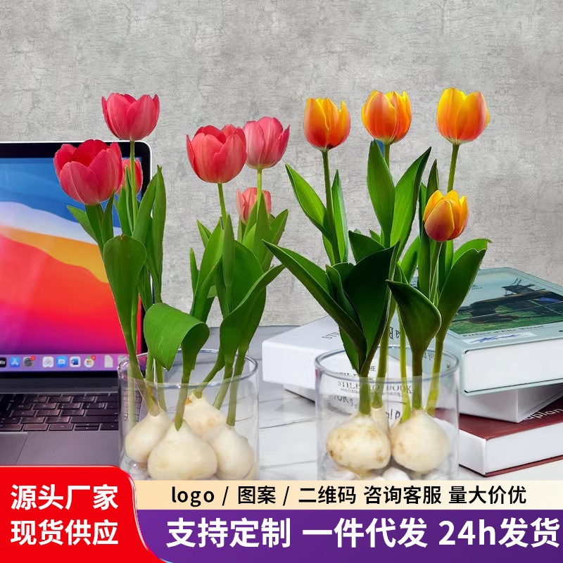 Гидропонные луковицы тюльпанов напрямую от производителя, упаковки для почвенного выращивания, зимостойкие луковичные цветы, многоцветные гиацинты