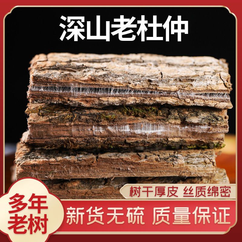 Аутентичные дикие эвкоммии, китайские лекарственные травы, роль эвкоммии, соленая эвкоммия, сычуаньская эвкоммия