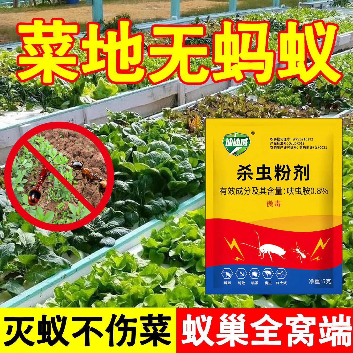 Powerful Ant-Killing Medicine for Household Use, Non-Toxic, Indoor and Outdoor Kitchen Vegetable Fields, Outdoor Killing of Red Fire Ants, Yellow and Black Ants