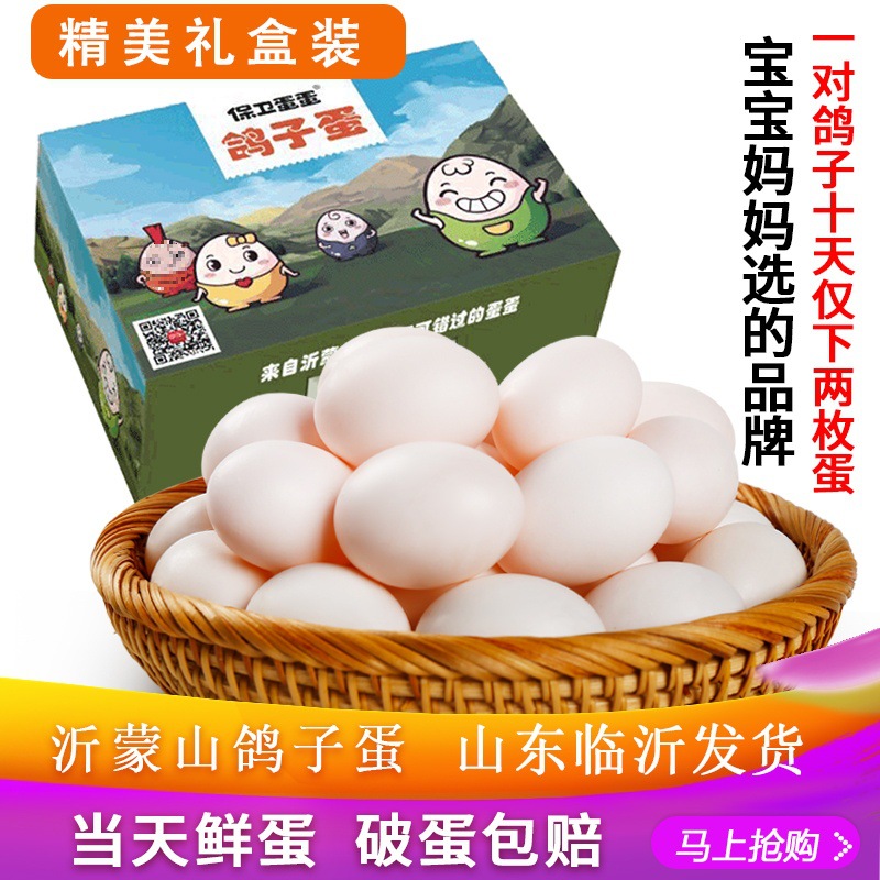 Protect the Eggs, Pigeon Eggs, Fresh 30 Pigeon Eggs, Multigrain Protein for Pregnant Women and Babies