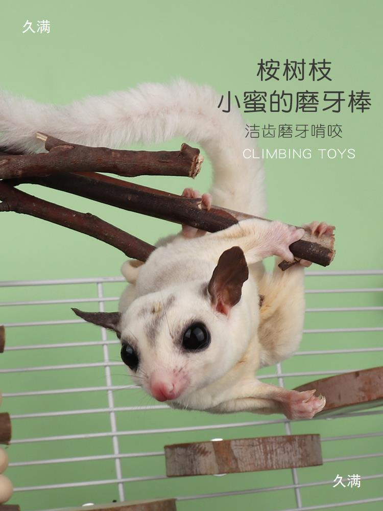 Eucalyptus Leaves, Sugar Gliders, Sugar Gliders, Teething Disinfection Pads, Eucalyptus Branches, Small Honey Cage Interior Decoration Toys