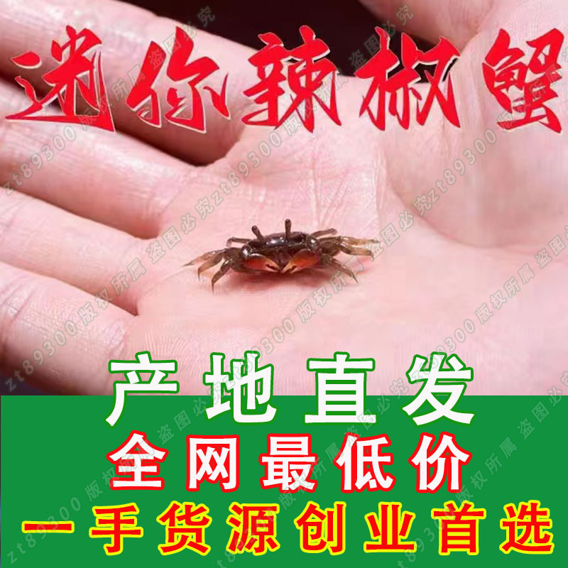 Оптовая продажа крабов, мини-краб, декоративный краб