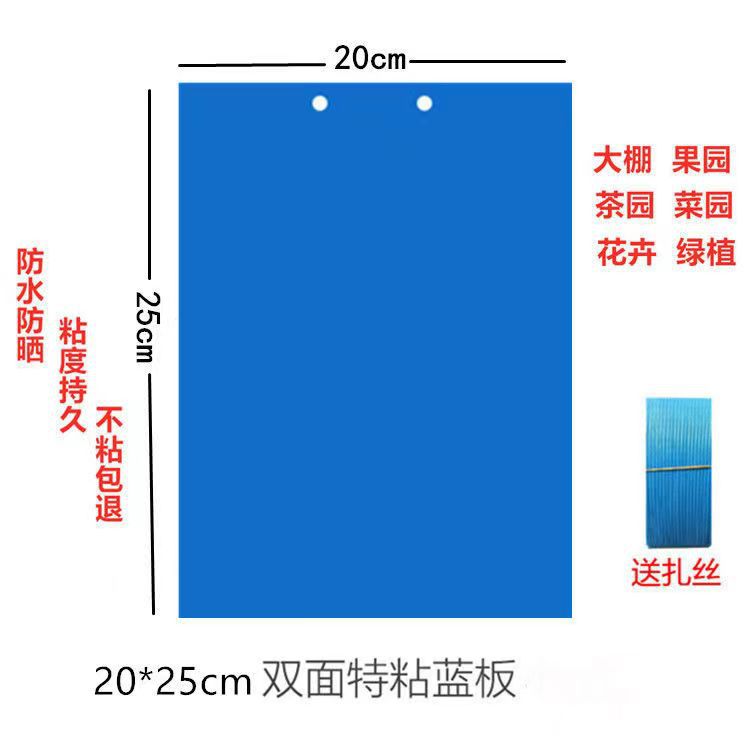 Cross-Border Amazon Insect Trap Board Manufacturer Wholesale Double-Sided Yellow Board Blue Board Greenhouse Special Insect Trap Board Strong