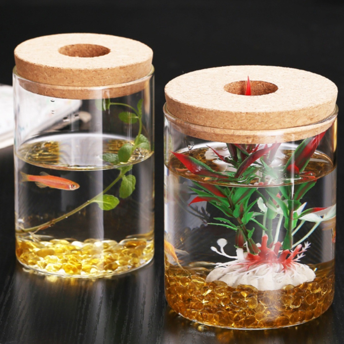 Мини-ваза для растений с морскими водорослями, экология, гидропоника, высокобorosilicate стекло, настольные украшения, бутылка для просмотра