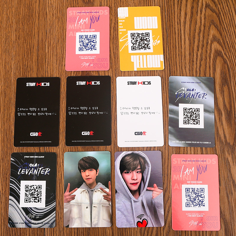 Stray Kids Go's Same Photo Card Collection 2
