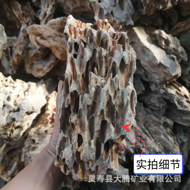Wholesale Pine Skin Stone Aquarium Landscaping Natural Ornaments Micro Landscape Rockery Thousand-Layer Tiger Skin Dragon Bone Stone Porous Pine Skin Stone
