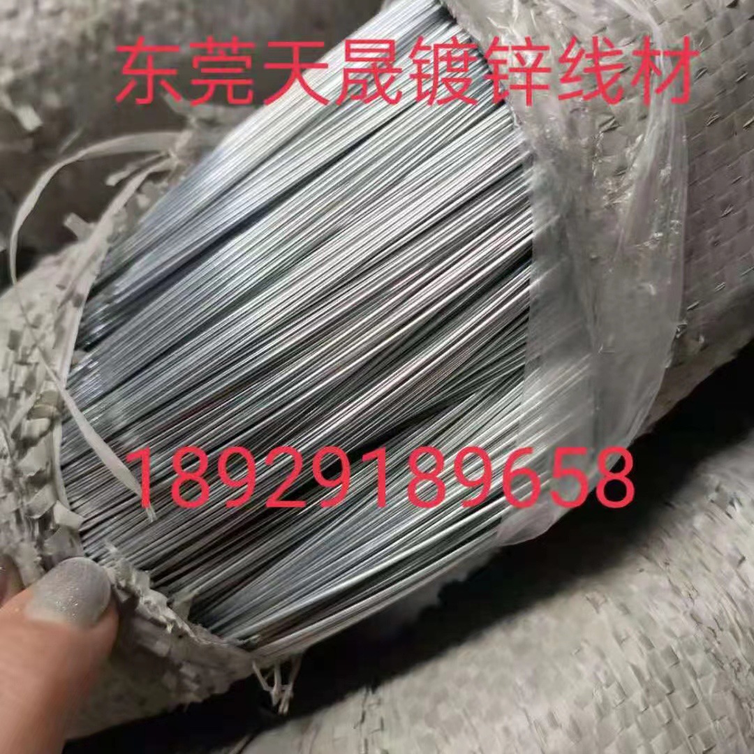 Galvanized Iron Wire 0.25-6.0 Large Quantity in Stock