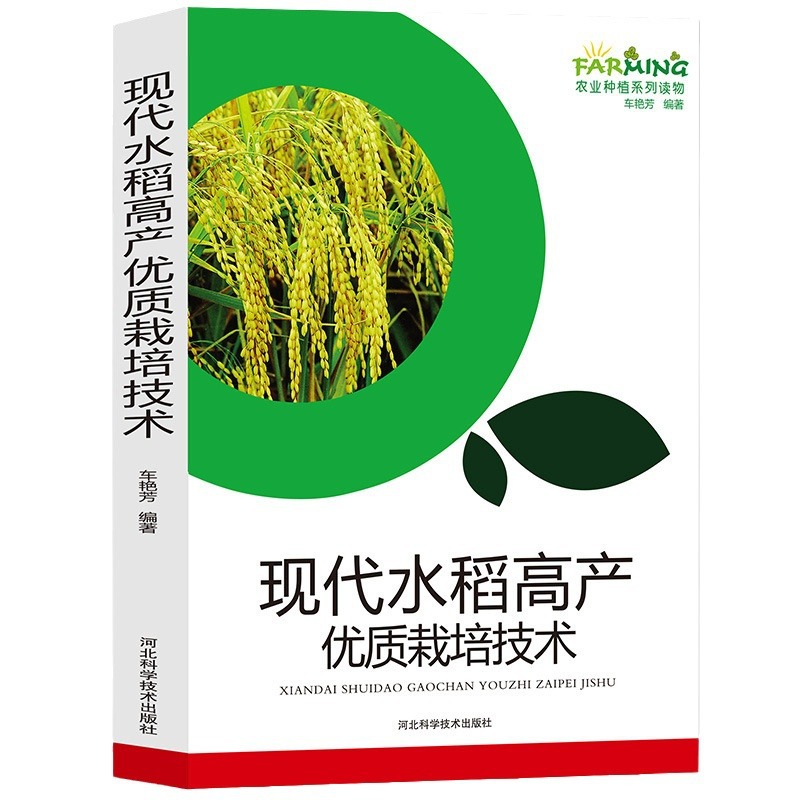 Modern Rice Cultivation Techniques with High Yield and Good Quality