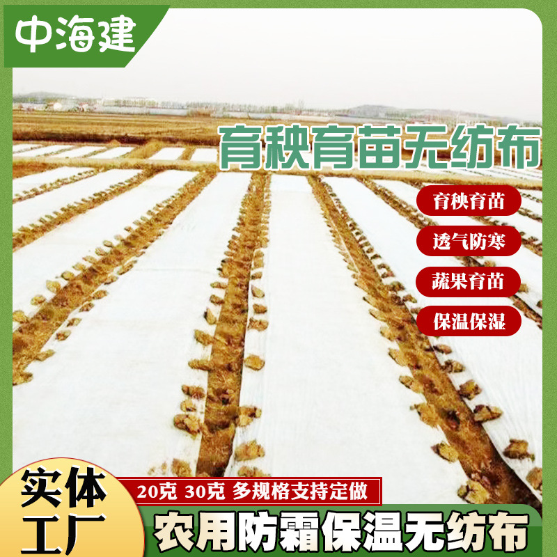 Вьетнамская рассада риса, белая нетканая ткань для сельского хозяйства, увлажняющая, морозостойкая, дышащая нетканая ткань