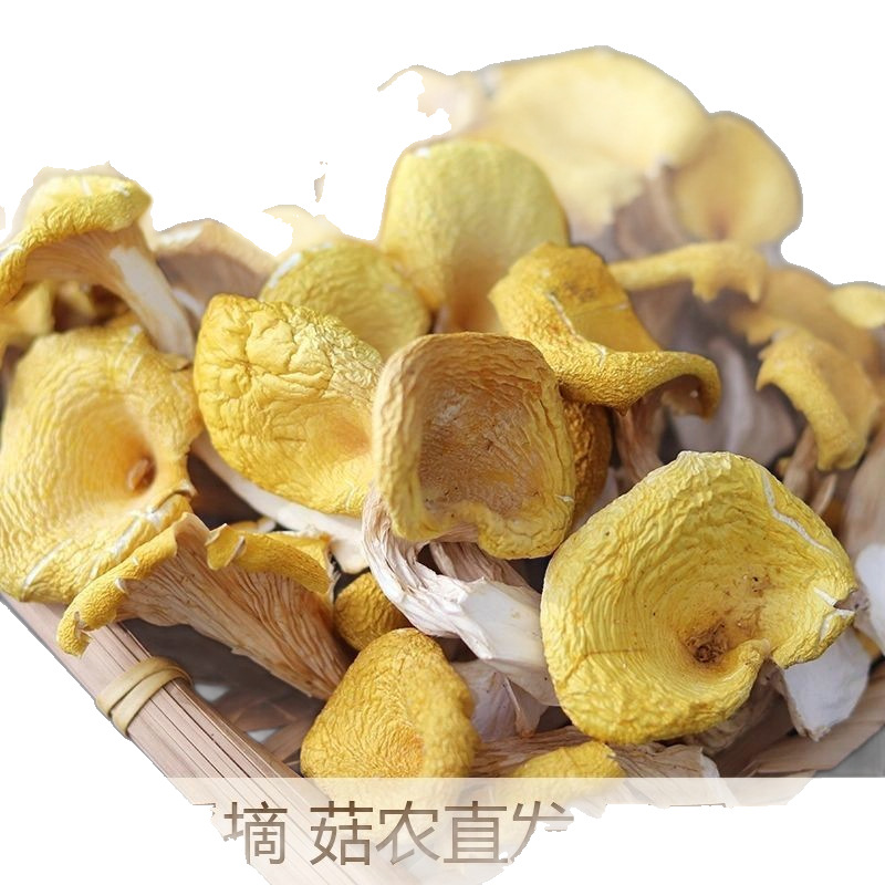 500g of Dried Chanterelle Mushrooms from Yunnan, Fresh Chanterelles, Dried Mushrooms, Mushrooms for Soup, Shiitake Mushrooms, and Mushroom Products