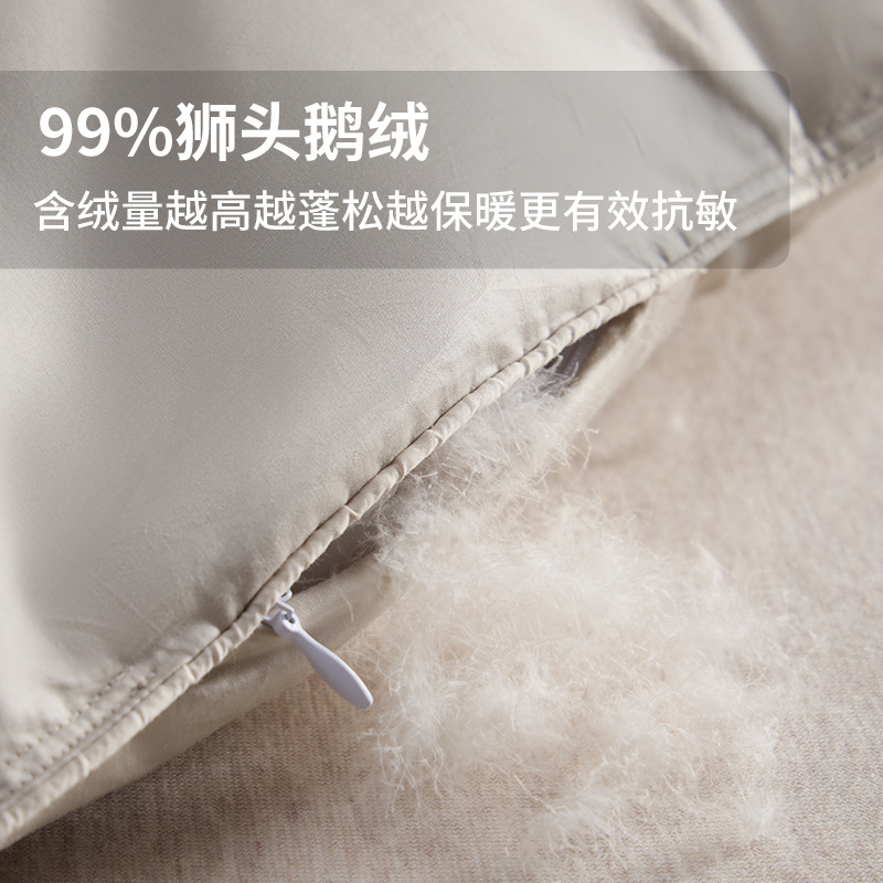 Wuyue 99% Lion Head Goose down Quilt High Fluffiness Golden Enzyme Four Seasons Household Thickened Cotton Quilt Cover down Quilt
